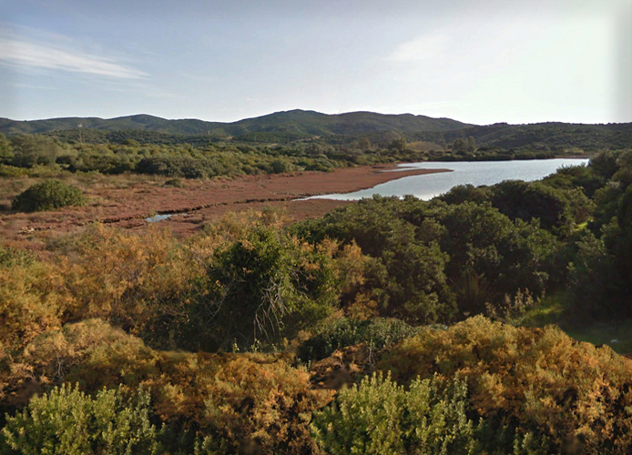 n_58 Ansa Malfatano 1 2010.jpg